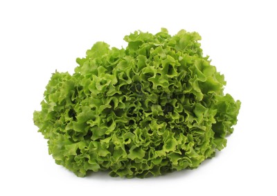 Салат романо 1 кг - купить в Мидяково