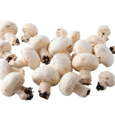 Шампиньоны свежие 500 г - купить в Мидяково